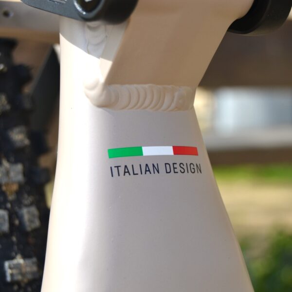 Bicicleta eléctrica de montaña Bianchi E-Vertic FX-Type con doble suspensión, motor central integrado y neumáticos Schwalbe Nobby Nic, estacionada en un entorno rural.