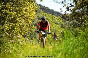 Ciclistas del equipo Bikes Moncayo atravesando un sendero boscoso durante la carrera, rodeados de vegetación y con vistas al Moncayo.