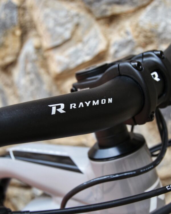 Raymon TrailRay 140E 10.0 bicicleta eléctrica de montaña 29″, suspensión delantera RockShox Domain RC 150 mm y trasera Super Deluxe Select 140 mm, motor Yamaha PW-X3, batería integrada 720 Wh, vista lateral gris