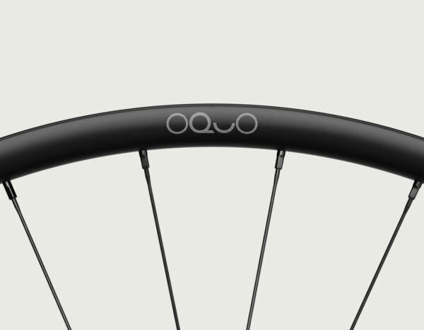 Juego de ruedas OQUO MP28 PRO 29 pulgadas aluminio, 28 mm ancho interno, buje DT Swiss para MTB XC/Trail
